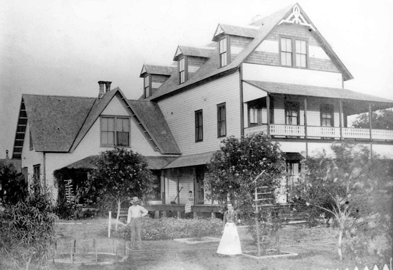 Palm Harbor in the late 1800s