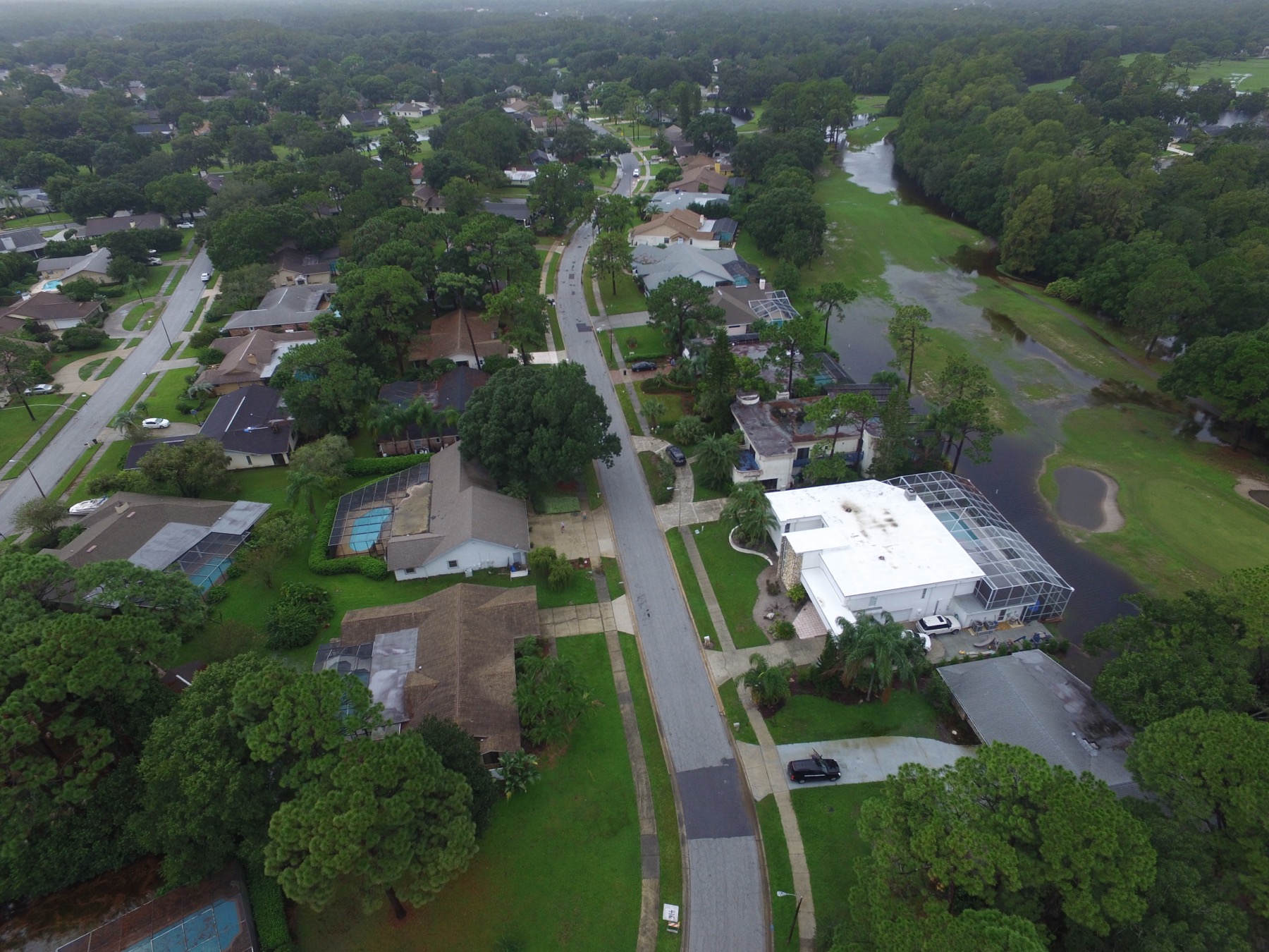 Drone view over Tarpon Woods neighborhood, ponds, tree cover, and golf course